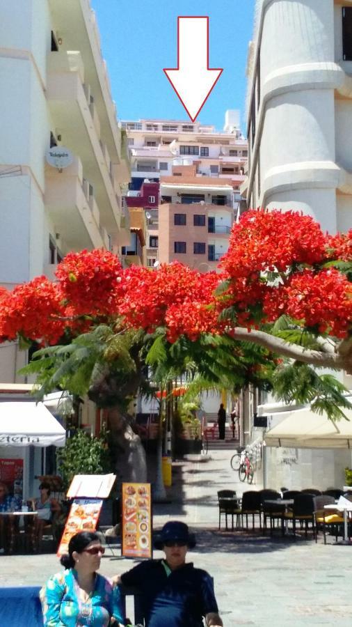 Ocean View Cactus I , Over Los Cristianos, Playa Las Vistas لوس كريستيانوس المظهر الخارجي الصورة