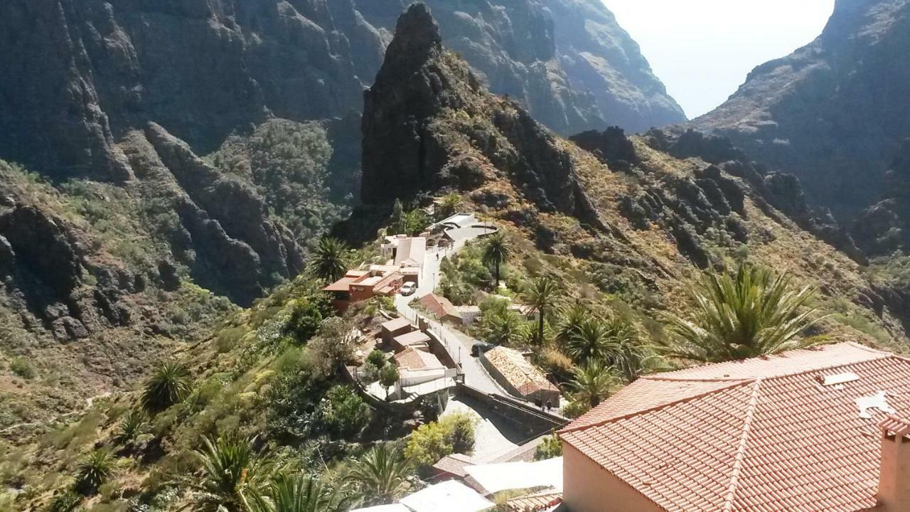 Ocean View Cactus I , Over Los Cristianos, Playa Las Vistas لوس كريستيانوس المظهر الخارجي الصورة