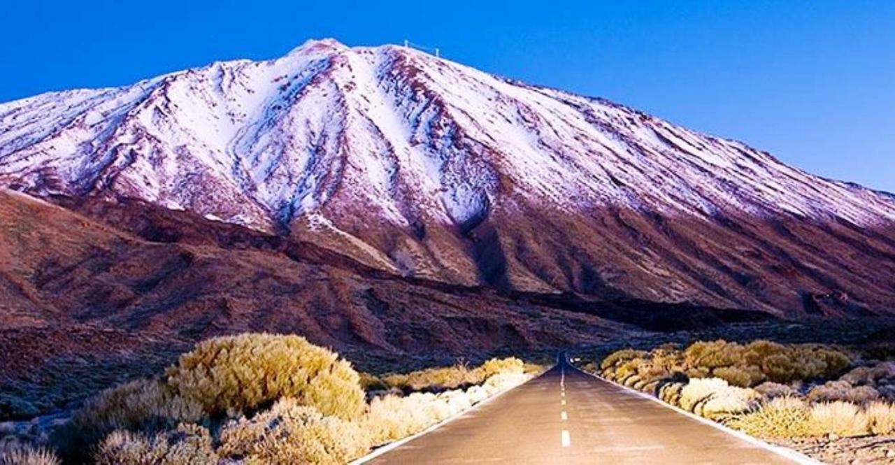 Ocean View Cactus I , Over Los Cristianos, Playa Las Vistas لوس كريستيانوس المظهر الخارجي الصورة