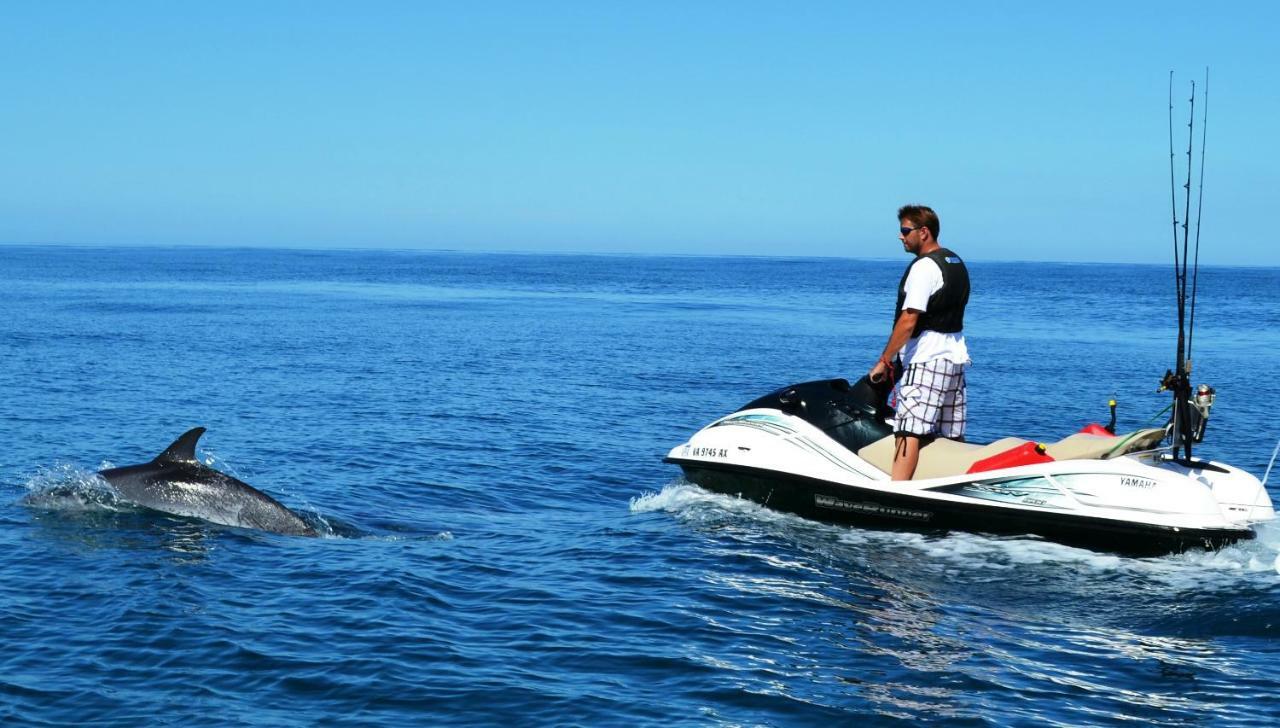 Ocean View Cactus I , Over Los Cristianos, Playa Las Vistas لوس كريستيانوس المظهر الخارجي الصورة